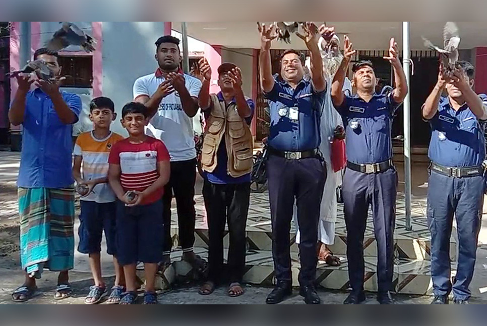 উদ্ধারের পর অবমুক্ত ১৫ ঘুঘু