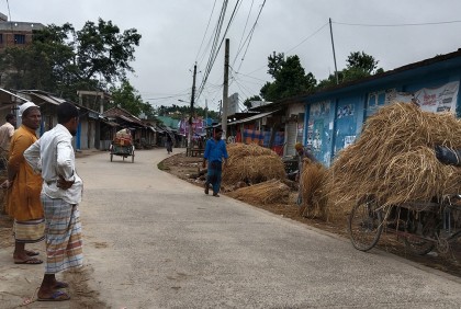 ফুলপুরে গোখাদ্যের সঙ্কট, খড়ের মণ ৮০০ টাকা