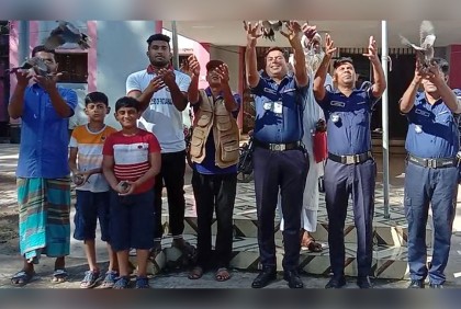 উদ্ধারের পর অবমুক্ত ১৫ ঘুঘু