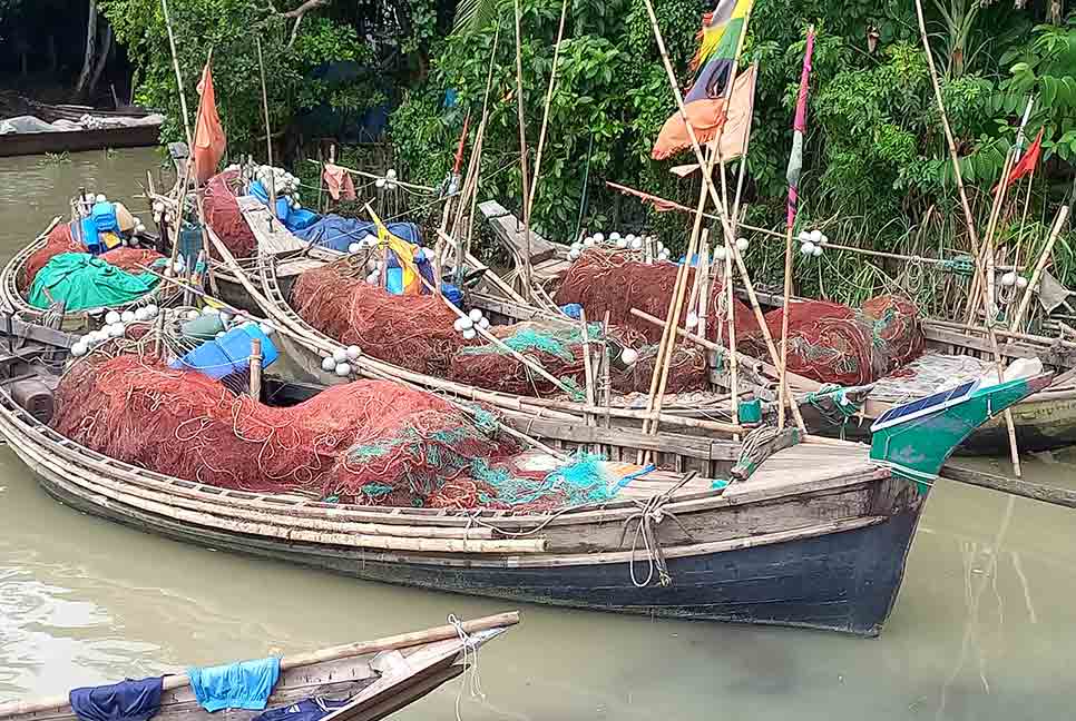 পদ্মা-মেঘনায় ২২ দিন ইলিশ আহরণ নিষিদ্ধ