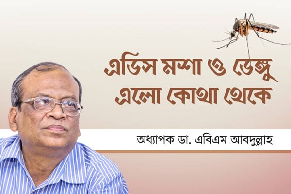 এডিস মশা ও ডেঙ্গু এলো কোথা থেকে