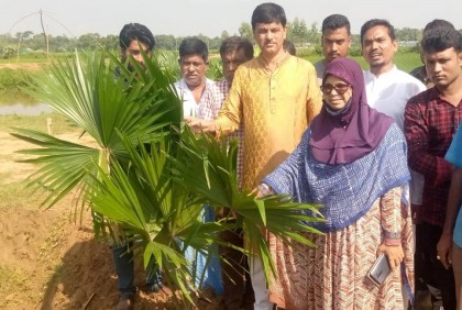 নালিতাবাড়ীতে সৌন্দর্যবর্ধন সড়কের দু’পাশে ফুলের চারা রোপণ 
