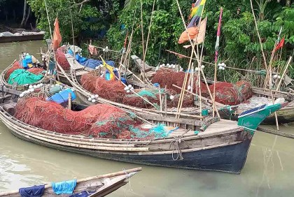 পদ্মা-মেঘনায় ২২ দিন ইলিশ আহরণ নিষিদ্ধ