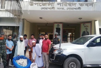 নোয়াখালীতে ২ মণ ইলিশ জব্দ, এতিমখানায় বিতরণ 