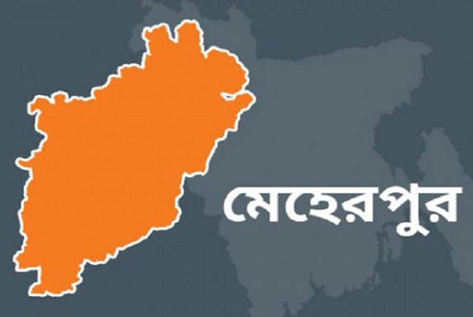 কথা কাটাকাটির জেরে মেহেরপুরে দুই ভাইকে কুপিয়ে আহত