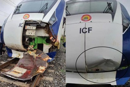 গরুর সাথে ধাক্কা লেগে ক্ষতিগ্রস্ত ভারতের সর্বাধুনিক প্রযুক্তির ট্রেন
