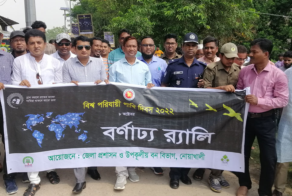 নিঝুমদ্বীপে বিশ্ব পরিযায়ী পাখি দিবস পালিত