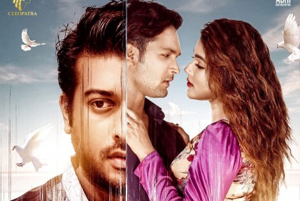 প্রশংসিত ‘যাও পাখি বলো তারে’