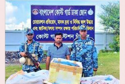 চাঁদপুরে ৮০০ কেজি জেলি পুশকৃত চিংড়ি জব্দ