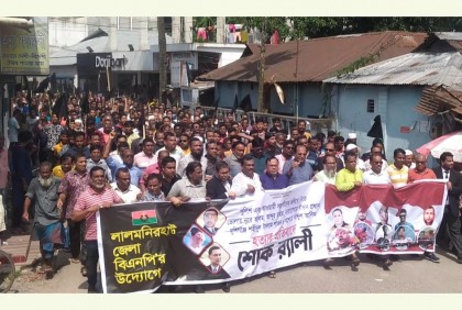 গুলি করে বিএনপিকে দমিয়ে রাখা যাবে না: দুলু