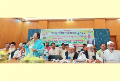জেলা পরিষদ নির্বাচন উপলক্ষে বড়াইগ্রামে মতবিনিময় সভা