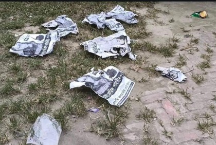 নাটোরে ৬ নারী প্রার্থীর পোস্টার ছেঁড়ার অভিযোগ