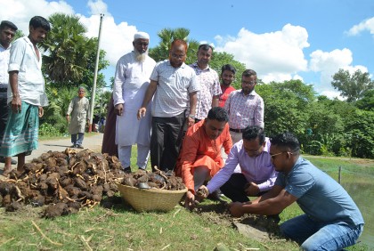 কৃষক ও পাখি বাঁচাতে তালের বীজ রোপণ