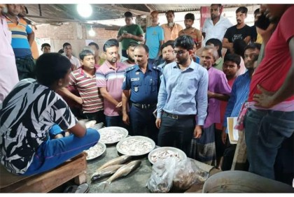 লালপুরে জেলি মিশিয়ে চিংড়ি বিক্রি, ব্যবসায়ীকে জরিমানা