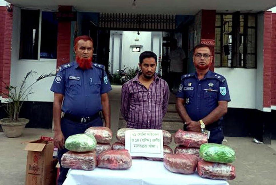 দিনাজপুরে ১৪ কেজি গাঁজাসহ একজন গ্রেফতার
