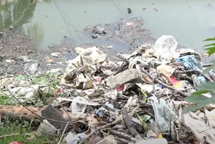 বনানী লেক যেন মশা উৎপাদন কেন্দ্র (ভিডিও)