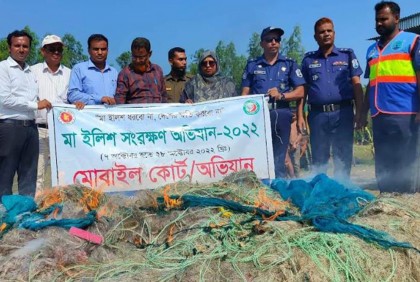 যমুনায় মা ইলিশ ধরার দায়ে ১৯ জেলের কারাদণ্ড