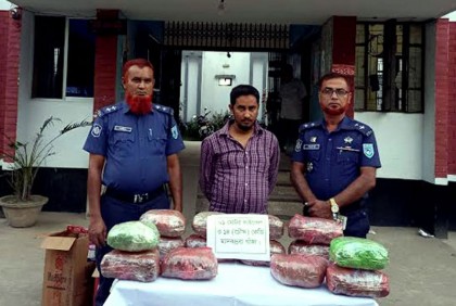 দিনাজপুরে ১৪ কেজি গাঁজাসহ একজন গ্রেফতার