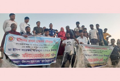 মা ইলিশ সংরক্ষণে কুড়িগ্রামে টাস্কফোর্সের বিশেষ অভিযান