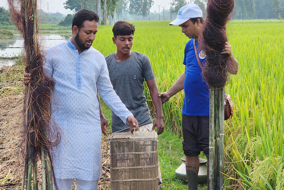 প্রাণ বাঁচলো ৫টি পাখির 