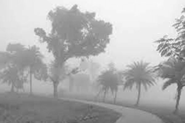 বগুড়ায় শীতের আগমণী বার্তা