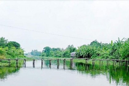 সেতুর অভাবে দুর্ভোগে শিক্ষার্থীসহ হাজারো মানুষ