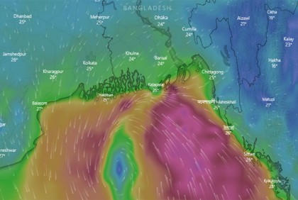 সিত্রাংয়ের প্রভাবে রাজধানীর কয়েক স্থানে উপড়ে পড়েছে গাছ

