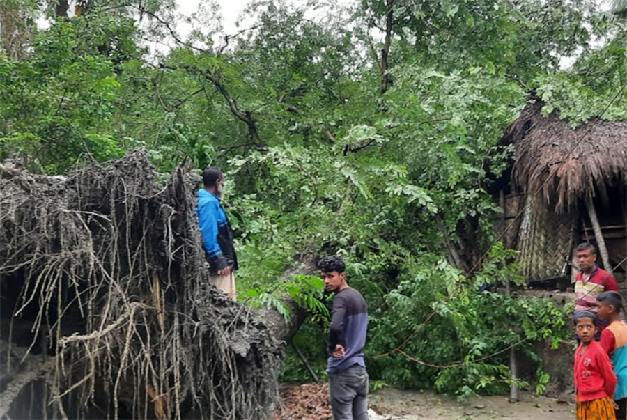 ভোলায় গাছ চাপা পড়ে ৩ জনের মৃত্যু, অসংখ্য বাড়িঘর বিধ্বস্ত