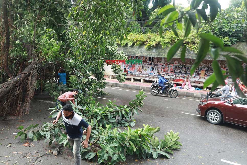 ঘূর্ণিঝড় সিত্রাং : রাজধানীতে ভেঙে পড়া ২ শতাধিক গাছ অপসারণ

