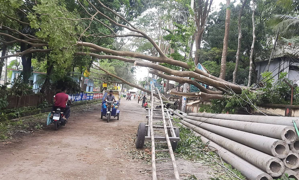নোয়াখালীতে গাছ চাপা পড়ে শিশুর মৃত্যু, গাছপালা-ঘরবাড়ি লণ্ডভণ্ড