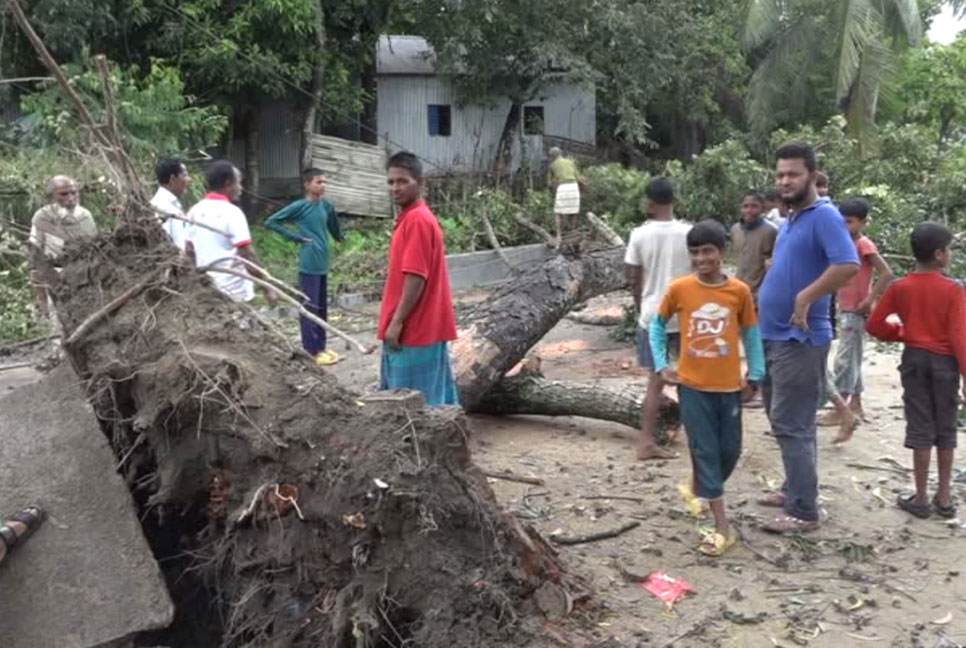 ঘূর্ণিঝড় সিত্রাং; ঘরের উপর গাছ ভেঙে পড়ে ব্রাহ্মণবাড়িয়ায় একজনের মৃত্যু