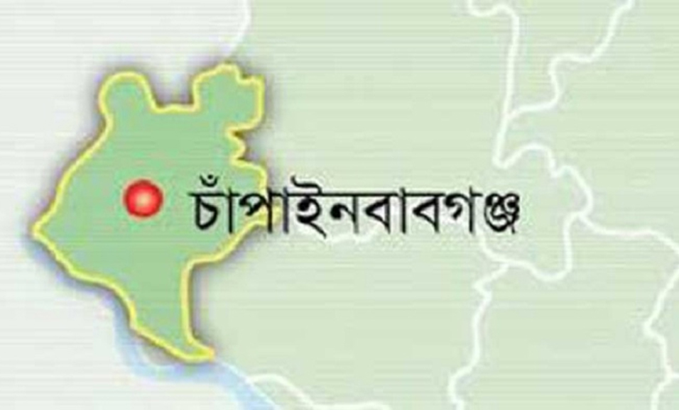 ককটেল বিস্ফোরণে আহত ফাহমিনার মৃত্যু