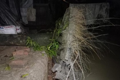 বরগুনায় গাছ পড়ে শতবর্ষী বৃদ্ধার মৃত্যু
