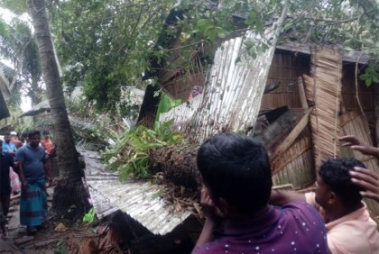 গোপালগঞ্জে সিত্রাংয়ের প্রভাবে গাছ চাপায় দুই নারীর মৃত্যু