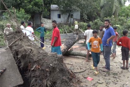 ঘূর্ণিঝড় সিত্রাং; ঘরের উপর গাছ ভেঙে পড়ে ব্রাহ্মণবাড়িয়ায় একজনের মৃত্যু