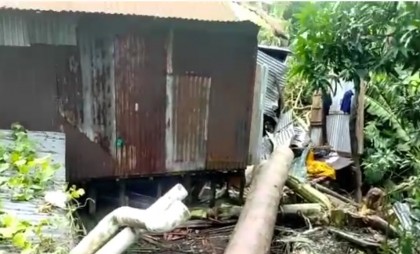 মুন্সীগঞ্জে বসতঘরে গাছ ভেঙে পড়ে মা-মেয়ের মৃত্যু
