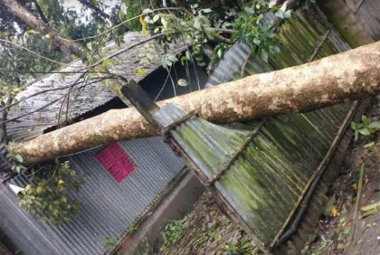 কুমিল্লায় ক্ষতিগ্রস্ত ৭০০ হেক্টর ফসলি জমি, অন্ধকারে ১৫ উপজেলা