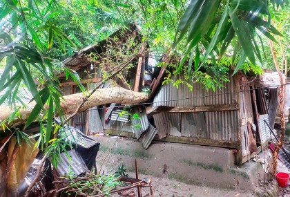 ঝালকাঠিতে শতাধিক বসতঘর, সবজি ও ফসলের ব্যাপক ক্ষতি