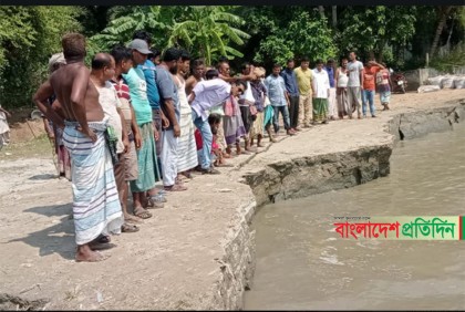 পদ্মার ভাঙনে নিঃস্ব মুন্সীগঞ্জের আড়াই শতাধিক পরিবার
