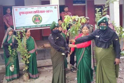 ফুলপুরে আনসার-ভিডিপির বৃক্ষ রোপণ অভিযান 