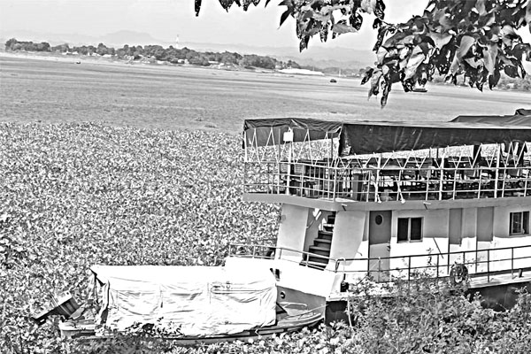 কাপ্তাই হ্র্রদে কচুরিপানার জঞ্জাল