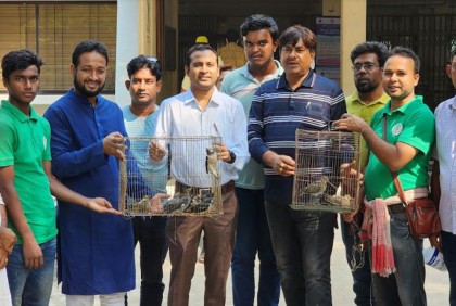 ফাঁদে আটকা অর্ধশত পাখি উদ্ধার করে অবমুক্ত 