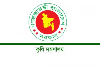 রবি মৌসুমে ফসলের উৎপাদন বৃদ্ধির জন্য ১৩৭ কোটি টাকার প্রণোদনা 

