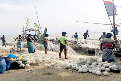 ২২ দিন পর শেষ হচ্ছে ইলিশ ধরার নিষেধাজ্ঞা