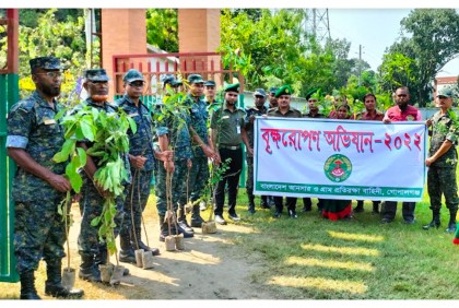 দুর্যোগ মোকাবেলায় গোপালগঞ্জে আনসার ভিডিপির বৃক্ষরোপণ   