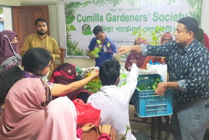 কুমিল্লায় বিনামূল্যে চারা ও বীজ বিতরণ 