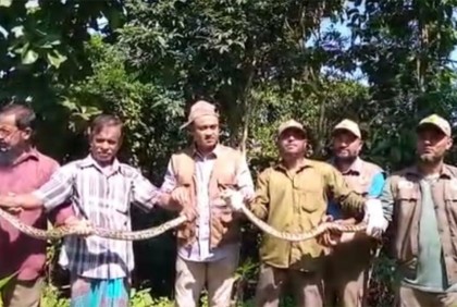রাঙামাটির কাপ্তাইয়ে অজগর অবমুক্ত