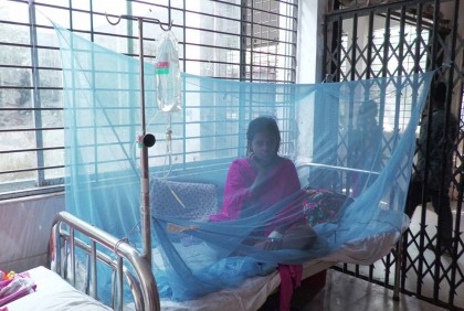 বাগেরহাটে বাড়ছে ডেঙ্গু আক্রান্তের সংখ্যা, হাসপাতালে ভর্তি ২১