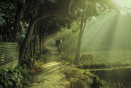 যে কারণে এবার এখনই শীতের অনুভূতি বাংলাদেশে
