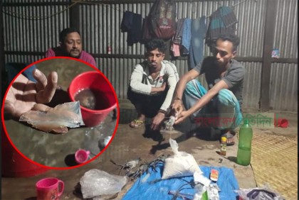 ওজন বাড়াতে চিংড়িতে বিষাক্ত জেলি পুশ, অতঃপর...